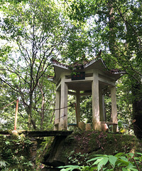 1��Сʱ������ԭʼɭ����������ˣһ�첻�����⣬���죡