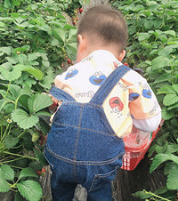 逛完熊婆婆的花园又去了这家猫咖,一共有23只猫,超粘人