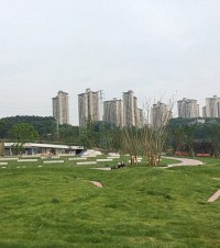 wanghong金海湾公园旁边才开的公园,耍玩还可以去花市买花带回家