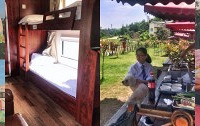 美丽乡村住房车、采草莓、人均30的自助烧烤
