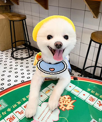 89OұҵҺ͹ӵҸʼˣ