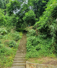 ɽƺ滹һطˣˮȥؼû