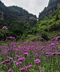 п뽭ɽʹ԰¶ӪȪˮñ