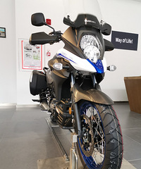 ����һ����ȥҰ