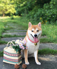 ҿƺϵӣһȥҰͰ+ ޷ŷ硿