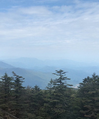 ˵߾ߵĶüɽ֮Уס𶥾Ƶ꣬ƺճ