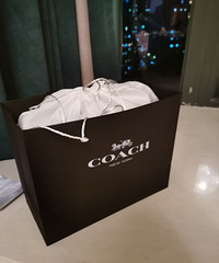 һ�������۾ͻ����²���Coach����Ȼ�������ȿ����ͷ�ã�