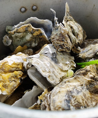 �����ܳԵ���ѹ��򺡢�����ȱ������ף��۸񻹱���