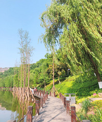 ����ɢ����ȥ�����ƺ�ʪ�ع�԰