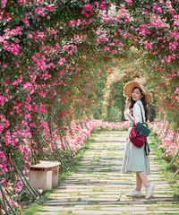 1Сʱ�͵�����ҪǮ��õ�廨������򿨣�