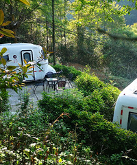 ��ʢ�ٻ���¶Ӫ������⣬�տ������