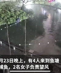 偷走“莽子”的人会受到怎样的处罚?律师建议对“莽子”估价