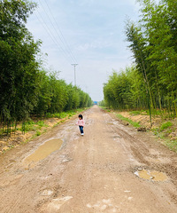 大足的香国公园,和璧山枫香湖一个性质,有儿童区还有音乐喷泉