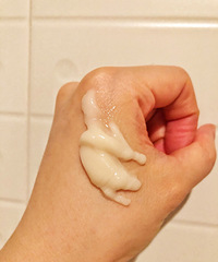 fresh³˯ĤֵС໤һελ