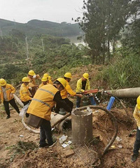 ѮΪȡⶫöϵ߸ˣ11վͣ