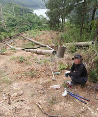 ѮΪȡⶫöϵ߸ˣ11վͣ