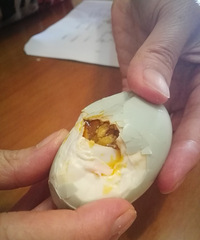 �������ַ�ɳ�ĺ���Ѽ����������·�����