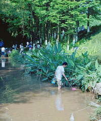 ˣˮĵطЩ̵ˣˮطƼ