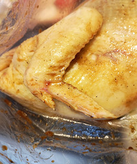 һ˸ӱ¶ӪտȫԱһл˼