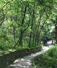 ������̳����ɽ��ˮϪ���������ʺ������Σ�����һ�㲻��