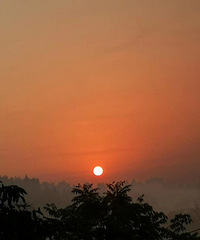 �п���ʣ��ʣŮ���35�����ҽ�飬50�������޶��Ŷ��