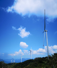 2¶Ӫ糵˳ڽ5Ѯܿž黨