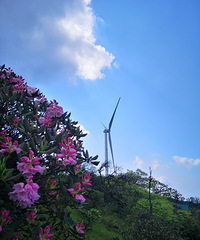 2¶Ӫ糵˳ڽ5Ѯܿž黨