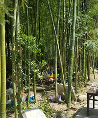 ɽܱ߲ҪǮˣˮأСֿˣ