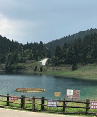 2Σ816˹ɽɭֹ԰ˣֺó