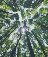 ˲ɽƺ鲻һķ񣬻¶Ӫ