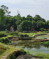 㼯أϴǣ֪ݺķŽֱкˣ