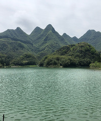 紵浽ȫһ¶Ӫͽз񣬷۵