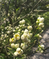 ����飬ԭ�����۲�������ô��ʹ��