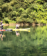 重庆露营基地推荐,重庆有哪些地方可以露营