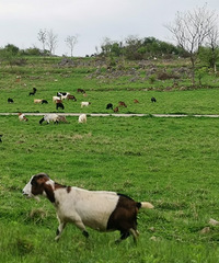 ҪŵеıʤأסޣˣݳɹʺϹĩ