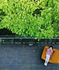 �ܿ���Ⱥ�����+���������޵���