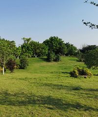 Ϳպɰ²ӡ£²λòãҲܲ