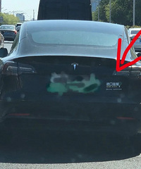 ��˹���������Գ������ھ²�