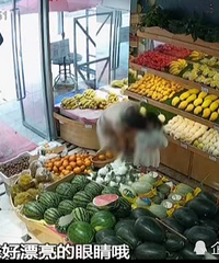 瞠目结舌!水果店内男子突然亲吻女童,街坊直呼恶心