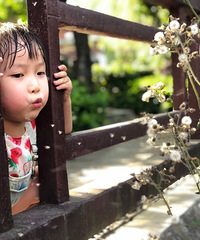 ��������Ȫ��ʵ�����棬�����Դ�������ֲ��ͥԺ����Ȫ�ð���