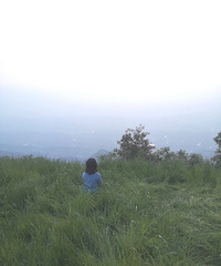 ȥƹɽϬţկǰ߷صһʵ