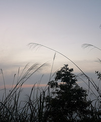 ȥ���ƹ�ɽ��Ϭţկ��ǰ�߷��ص�һ����ʵ����