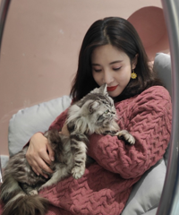 一家超级萌宠店,活生生被我变成了拍照打卡点,猫猫太萌了!
