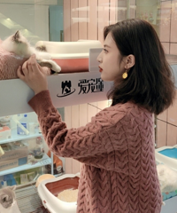 一家超级萌宠店,活生生被我变成了拍照打卡点,猫猫太萌了!