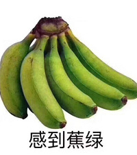 5月中旬的婚礼该如期举行吗?心里很焦,每天都在办和不办中徘徊