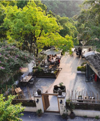 坐公交上南山,美食一路吃起走,还住到了便宜风景好的民宿