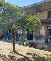 一家四个人工作,买不起县城的房子,住在年租1800元的村屋里