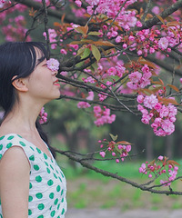 去仙女山的民宿拍一组美片,放松心情还好耍