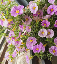 ̨򡢰Сᡢ㿪úãҲű