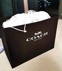 一听到打折就火速下叉了Coach,虽然不是最热款但是心头好!